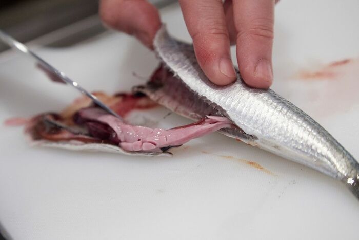 血合いを内臓もろとも引き出します