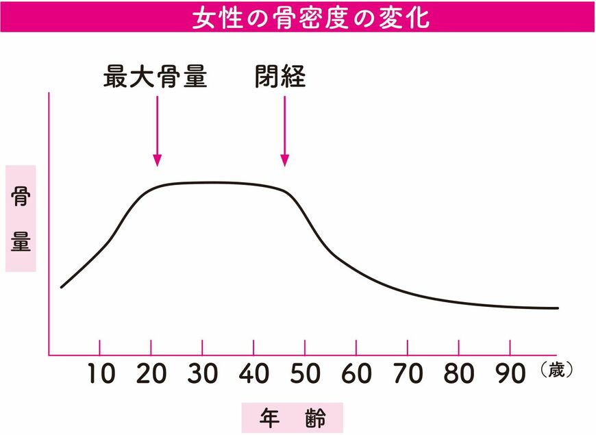 画像 | 「骨を強めるにはカルシウム」の常識が変わった訳 メカニズムの解明で医学のガイドラインも改訂された | ライフ | 東洋経済オンライン