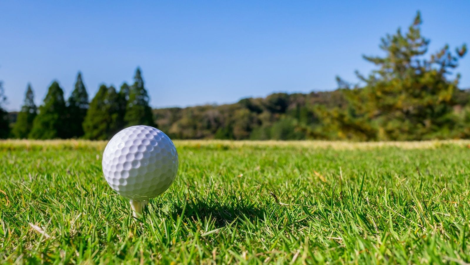 ゴルフの新プレー ワンオンゴルフ とは何か ゴルフとおカネの切っても切れない関係 東洋経済オンライン 社会をよくする経済ニュース