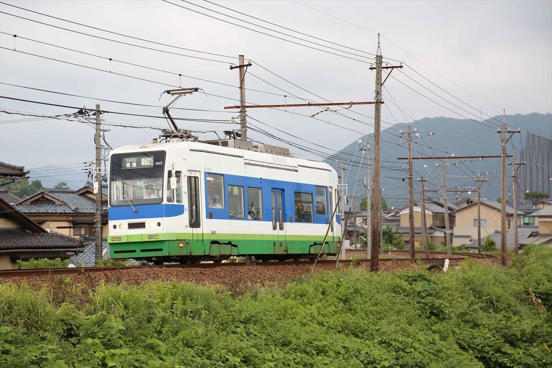 名鉄から移籍した低床車の800形。現在は豊橋鉄道に再移籍した（撮影：南正時）