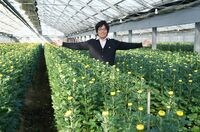 ｢レイバン｣から農家。地方で家業を継ぐ難しさ 武将の末裔が育てる「菊」