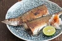 今年は豊漁｢サンマ塩焼き｣ジューシーに食す極意