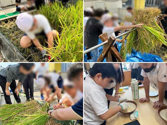 稲刈りをする子どもたち