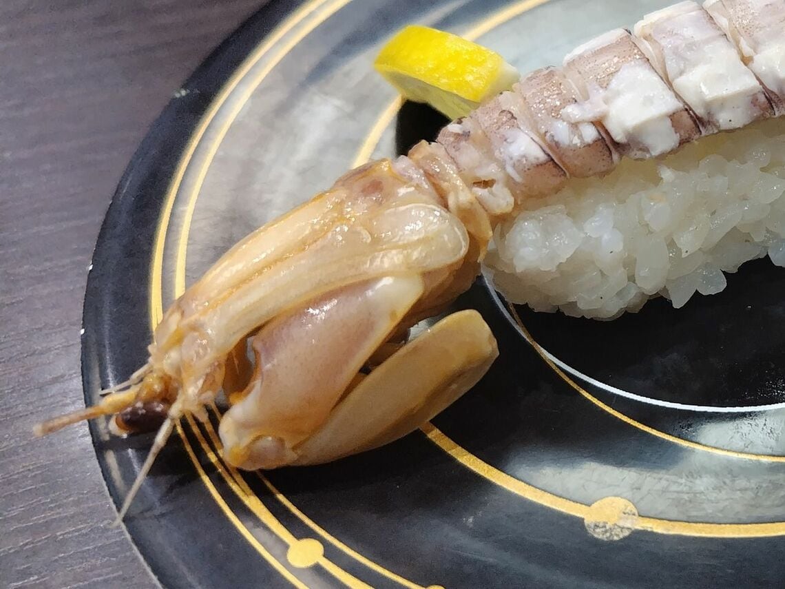 折りたたまれたシャコ