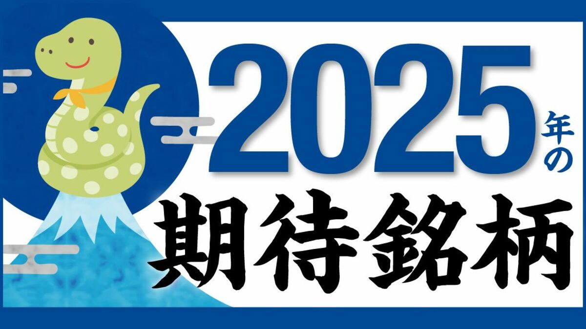 2025年 暦年展望資料(全163頁) 大和証券 株 警戒感漂う相場で光る