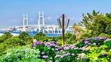 住みたい街ランキングでも人気の横浜を抱える神奈川県。住宅地で地価の高いエリアはどこなのか。ランキングにまとめた（写真：denkei／PIXTA）