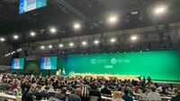 地球温暖化抑止のCOP29､｢気候資金｣確保が焦点 WWFジャパン･小西雅子氏に課題と展望を聞く