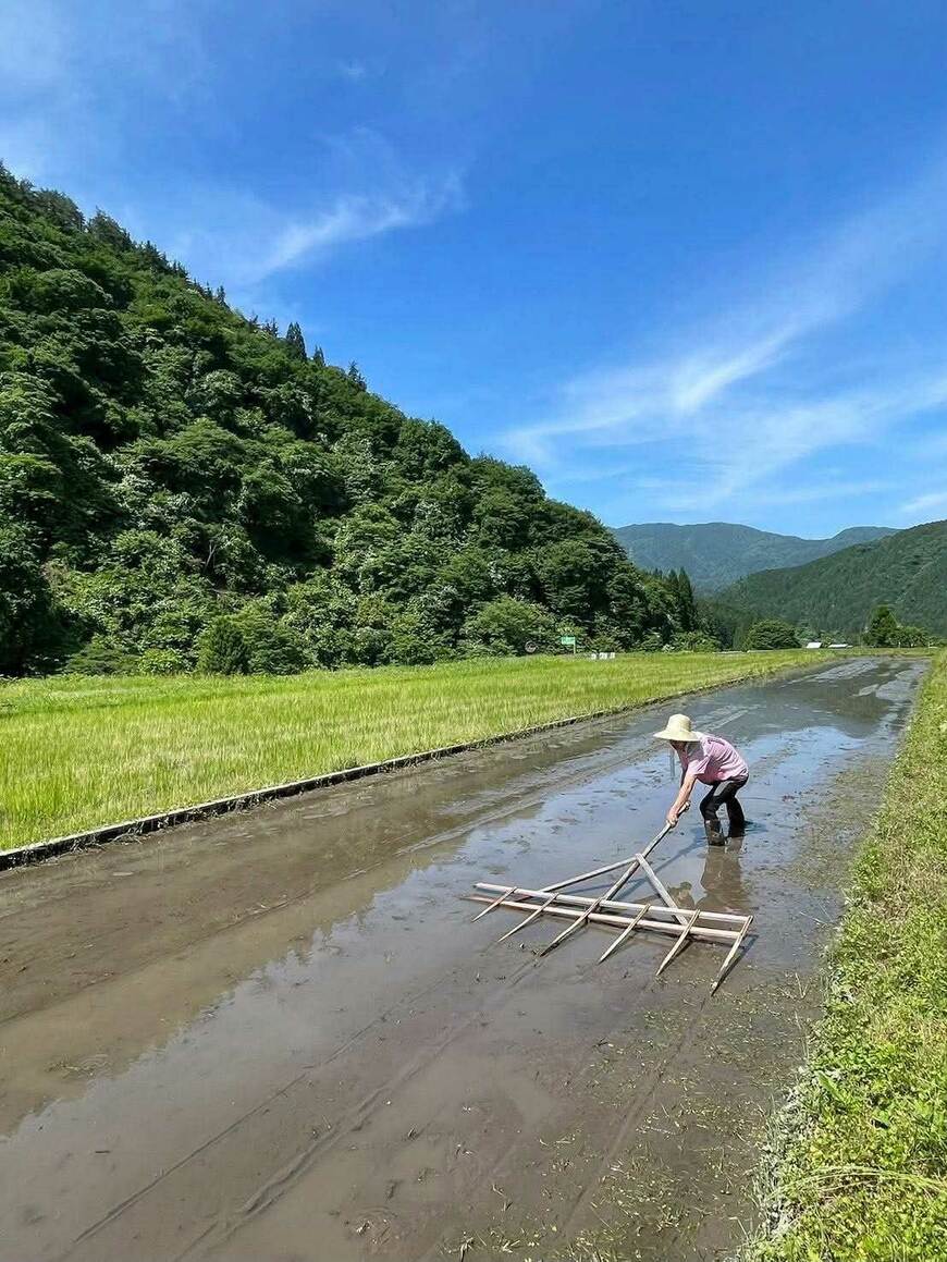 長曽凜也さんの活動