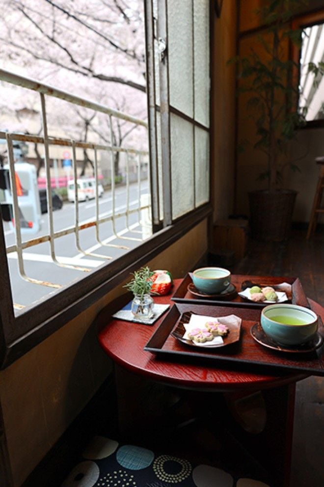 OMOレンジャーが教えてくれたお茶屋さん「マルキク 矢島園」。2階のカフェは知る人ぞ知る桜の絶景ポイントでもありました