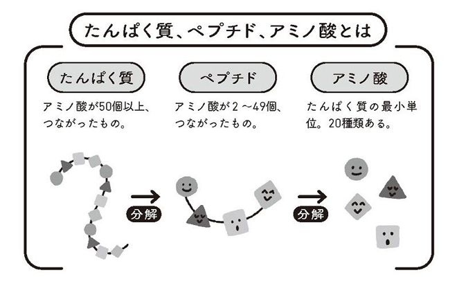 （出所：『飲むだけで筋肉がつきやすくなる 70歳からの筋トレスープ』）