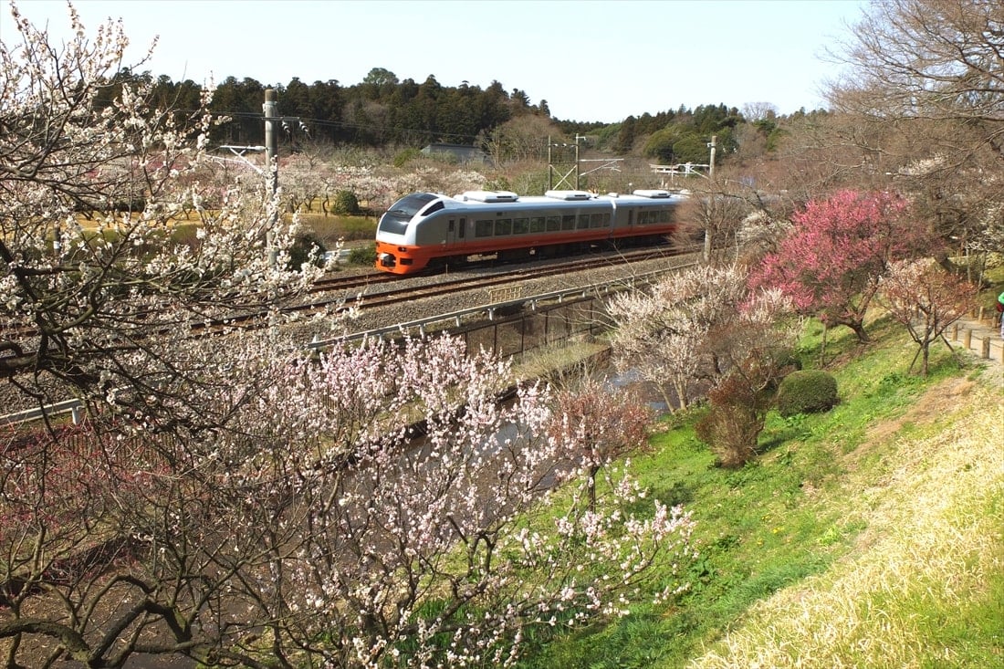 今春全線再開｢常磐線｣懐かしの列車と沿線風景 L特急や寝台列車の撮影に通った沿線は今 2ページ目 | ビジネス | 東洋経済オンライン