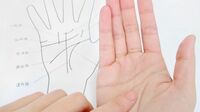 元鑑識の手相家｢悪人にはない､幸せを呼ぶ｣手相 成功者と言われる人の多くに出現する｢努力線｣