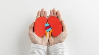 寿命は腎臓で決まる｢100歳まで生きる臓器ケア｣