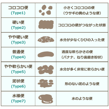 腸活にハマった男｣が語る