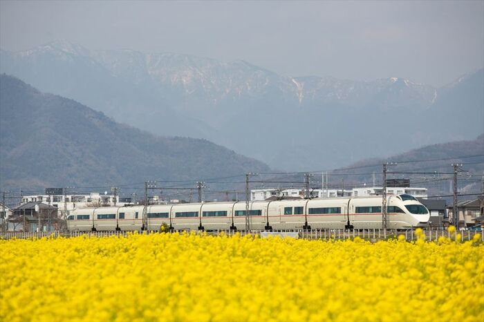 白いボディの50000形VSE