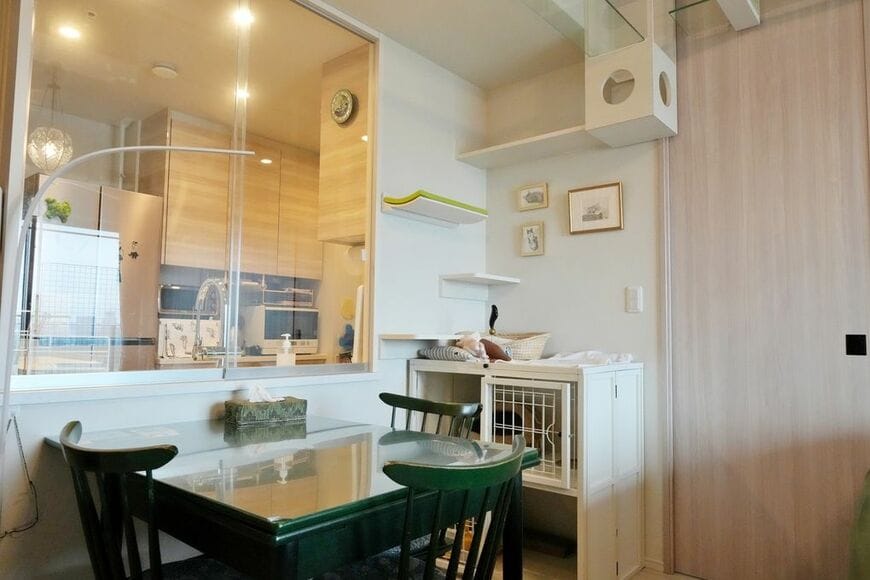 猫がキッチンに侵入できないよう、リビングとの間にガラス戸を設けた（撮影：梅谷秀司）