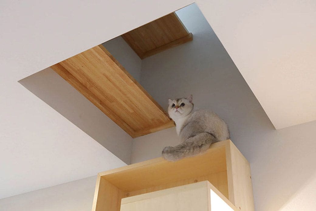 猫の運動能力を見てボックスを増やすことも可能