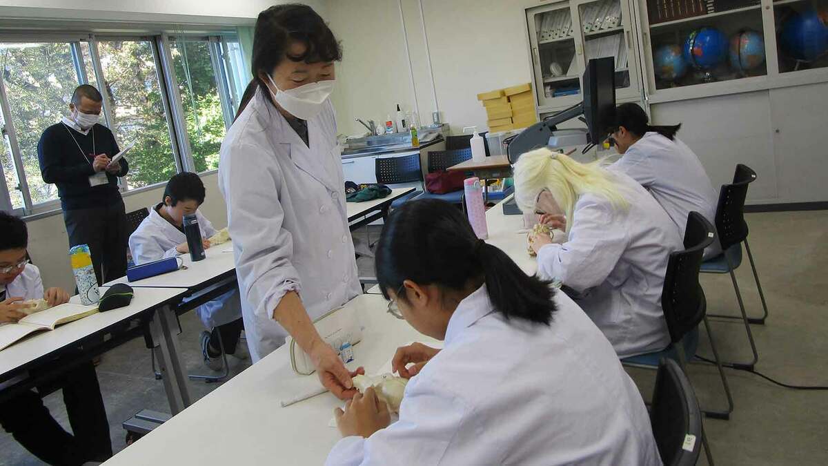 「今日の視覚障害教育」筑波大学附属盲学校120年記念誌　第一法規 視覚障害の子の｢さわる授業｣､すべてに共通する｢学びの本質｣がここに