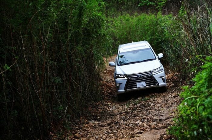 レクサス アメージング エクスペリエンス｜LEXUS AMAZING EXPERIENCE