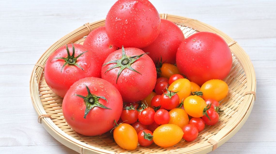 悪魔の実 と呼ばれていた 蕃茄 はなんの野菜 Domani 東洋経済オンライン 社会をよくする経済ニュース