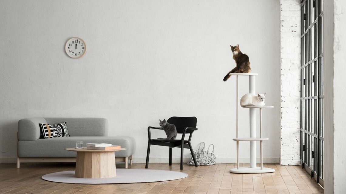 家具メーカー大手のカリモクが、2019年3月より猫専用家具のブランド「KARIMOKU CAT」をスタート。コロナによるホームアイテム需要やペットを飼う人の増加が後押しし、売り上げはブランドスタート時の2倍にアップしている（写真：カリモク皆栄）この記事の画像を見る(◯枚)