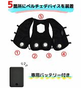 ウィンドコア アイス×ヒーターペルチェベストPRO2 ワークマン