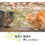 （出所：『そんなに怒らニャくてもいいんだよ ネコと学ぶ心が軽くなる方法』より）