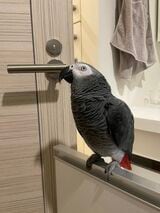 （写真提供：カマタさん）