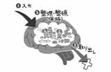 脳過労の人の脳内のイメージ（『スマホ脳の処方箋』より）
