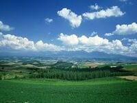 国内生保・大手９社トップインタビュー--業界再編の行方は？