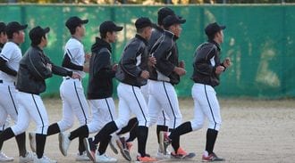 ｢野球離れ｣でも高まる少年硬式野球への期待