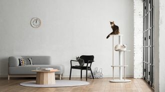 カリモク｢猫ファースト｣の木製家具ブランド