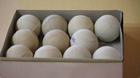 写真はイメージ（筆者撮影）