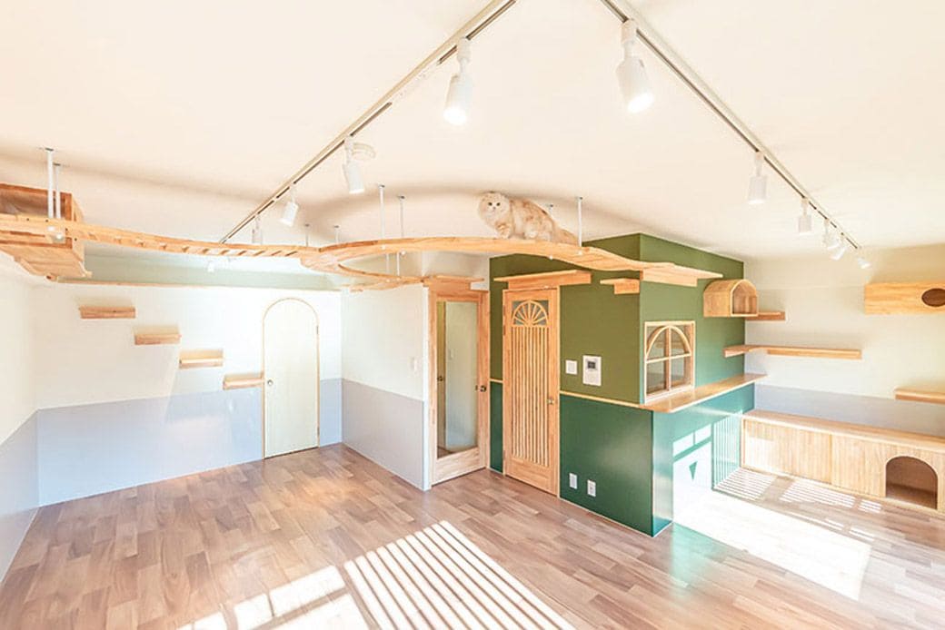 猫との共生に特化した部屋へとリニューアルした部屋