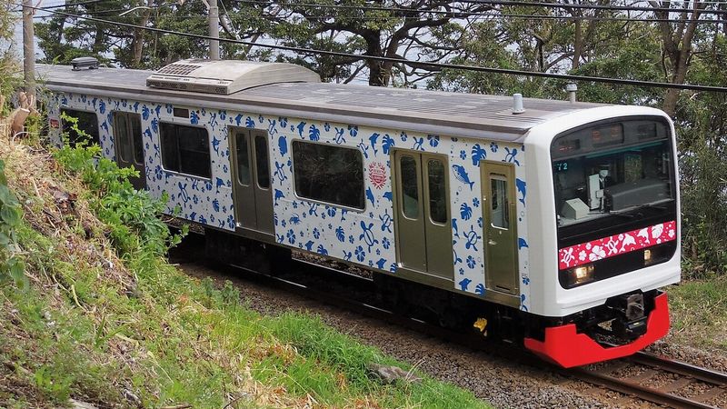 伊豆急､JR通勤車を｢ハワイアン｣に改造した狙い 元京浜東北線209系｢第3