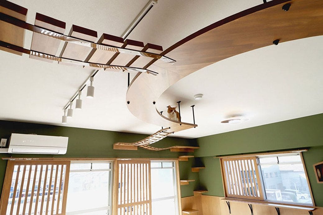 若い猫が遊べるようアスレチック感覚のキャットウォークが張り巡らされている