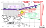 7月の顕著な高温をもたらした大規模な大気の流れに関する模式図（出典：気象庁HP）