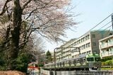 桜咲く駒場東大前駅付近を走るライトグリーンの3000系（撮影：南正時）