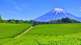 企業経営で知りたい新しいSDGsのあり方(前編) ｢発信型三方良し｣でSDGsを実践する