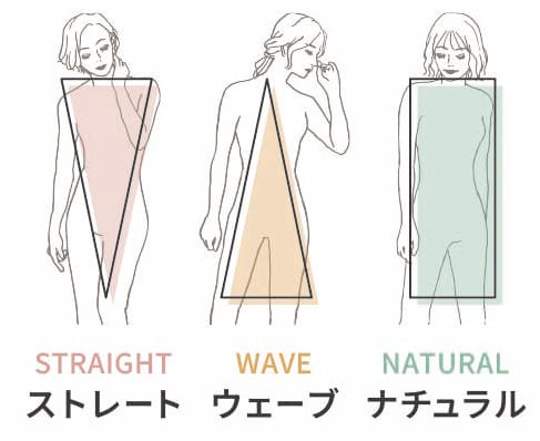 骨格タイプ
