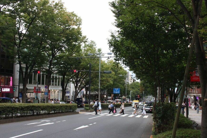 表参道