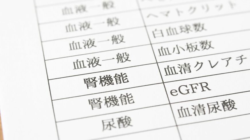 腎臓大復活