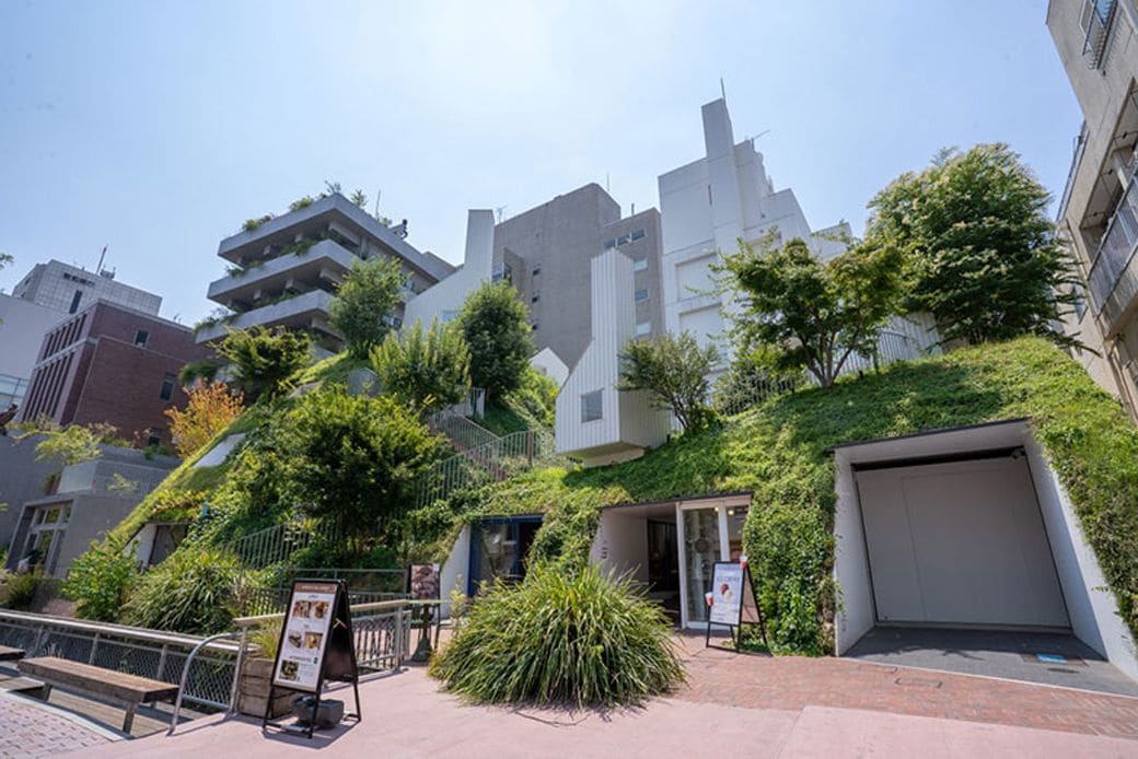 「白井屋ホテル」は既存躯体の柱梁を生かした「ヘリテージタワー」と新築の「グリーンタワー」の2棟構成。緑が縁取る階段を上がるとエントランスに辿り着く（写真撮影／前田慶亮）