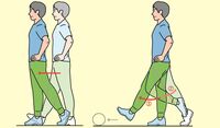 知っておきたいウォーキングで効果を上げるテク ある部位を意識するだけでケガも予防できる