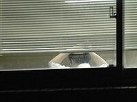 １９．２％--週６０時間以上働く子育て世代の男性従業者の割合（２００８年）《気になる数字》