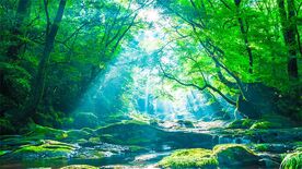 有事に強い､ローカルSDGsを実現(前編) ｢地域循環共生圏｣で自立･分散型社会を目指す