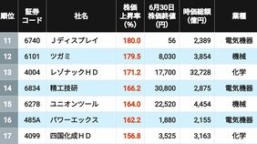 3位は古河電工､2位が太陽誘電､1位はやはりの銘柄？ 2026年上半期に株価が上昇＆下落した｢大型株｣ランキング200＋201社
