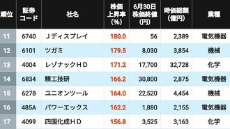 2026年上半期大型株株価上昇率11～17位