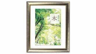 幸田文という書き手は｢声なき声｣を言葉にした