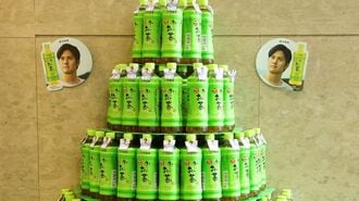 「お~いお茶」が値上げ! 抹茶ブームが招く異変